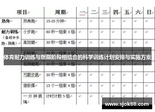 体育耐力训练与燃脂阶段相结合的科学训练计划安排与实施方案